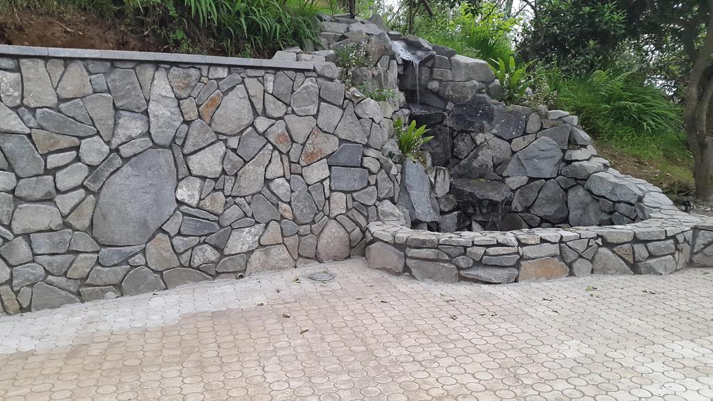 Lasha Guest House Makhinjauri Exterior foto